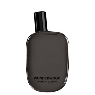 Tester WonderWood Pour Homme Eau de Parfum 100ml Spray